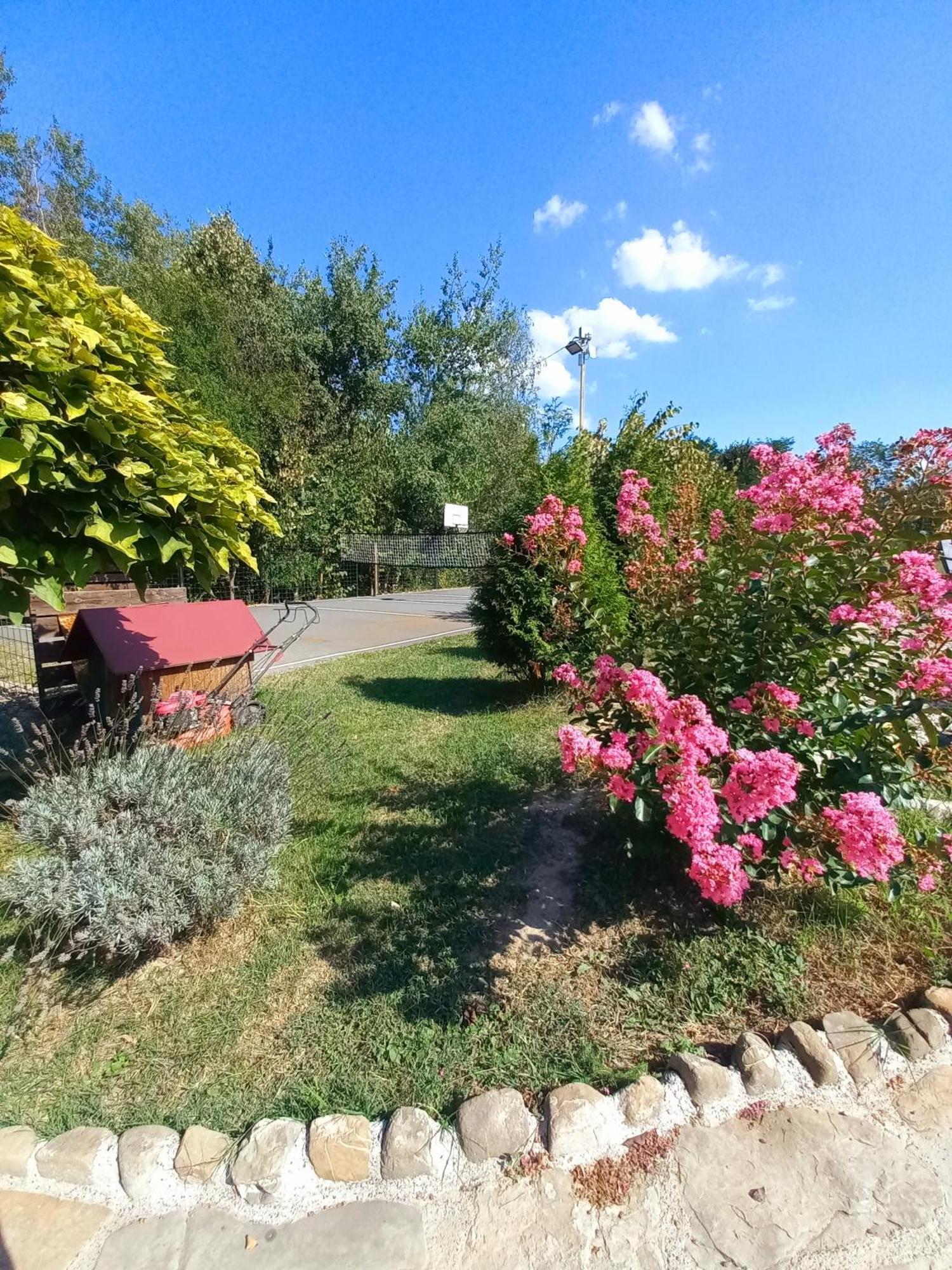 Magaze De Luxe Villa Gradacac Eksteriør billede